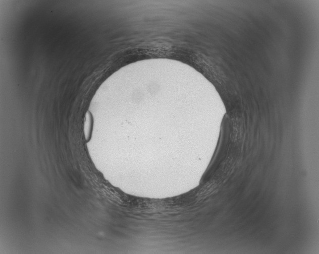 X0000081571057200702121416