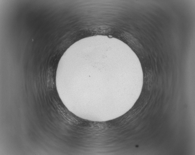 X0000081571058200702121416