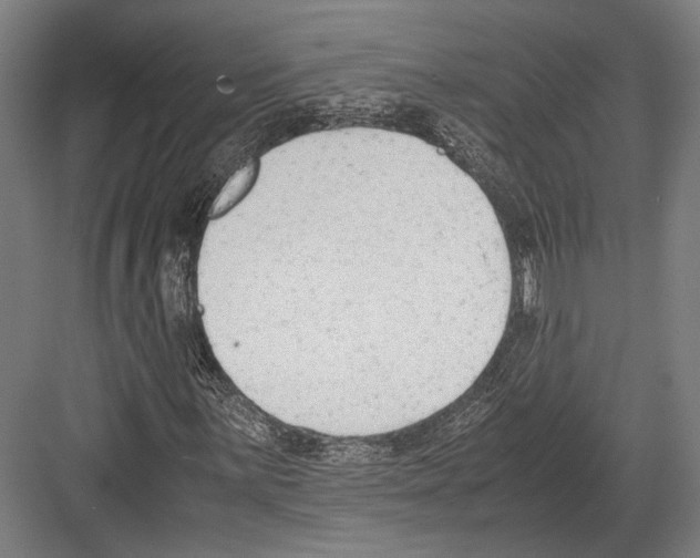 X0000081571059200702121416