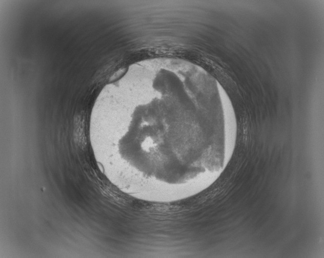 X0000081571060200702121416