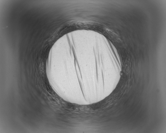 X0000081571061200702121416