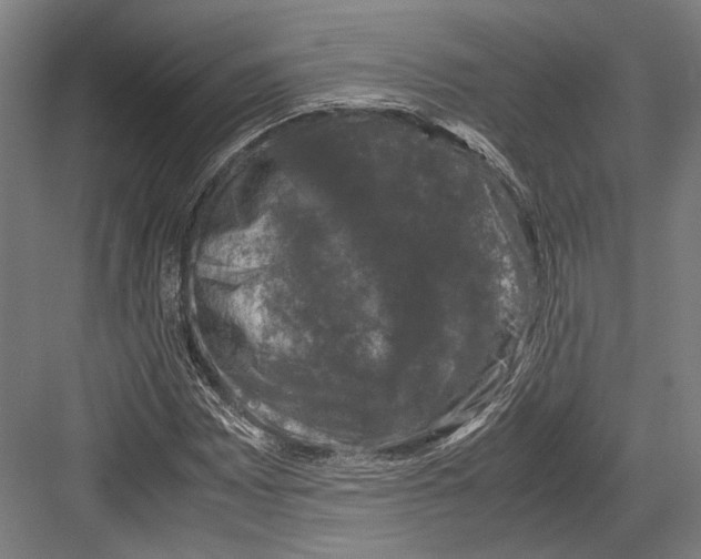 X0000081571065200702121416