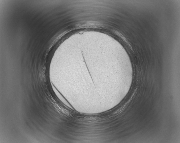 X0000081571066200702121416