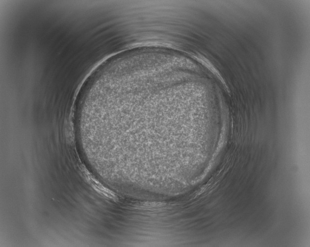 X0000081571068200702121416