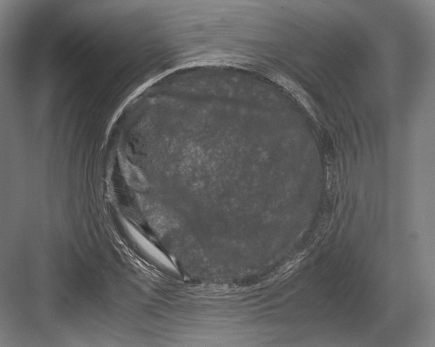 X0000081571069200702121416