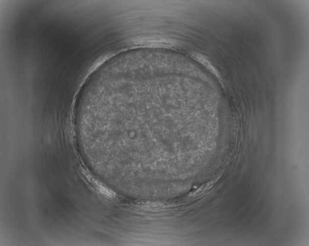 X0000081571071200702121416