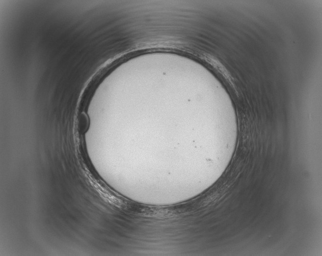 X0000081571072200702121416