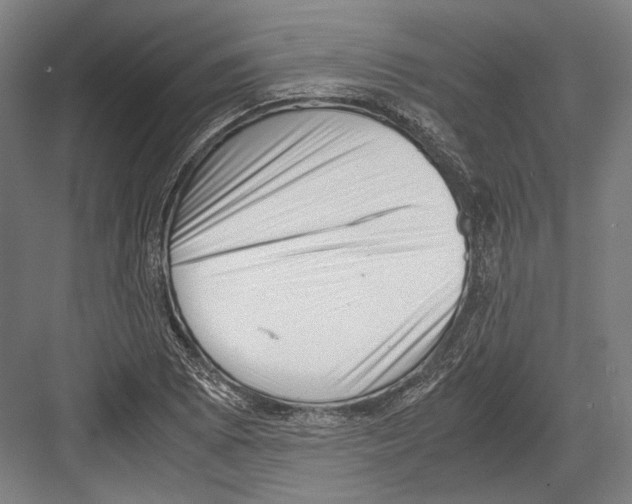 X0000081571073200702121416