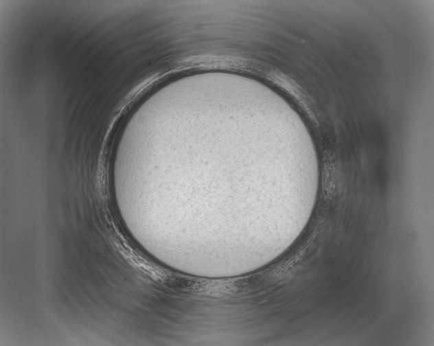 X0000081571074200702121416