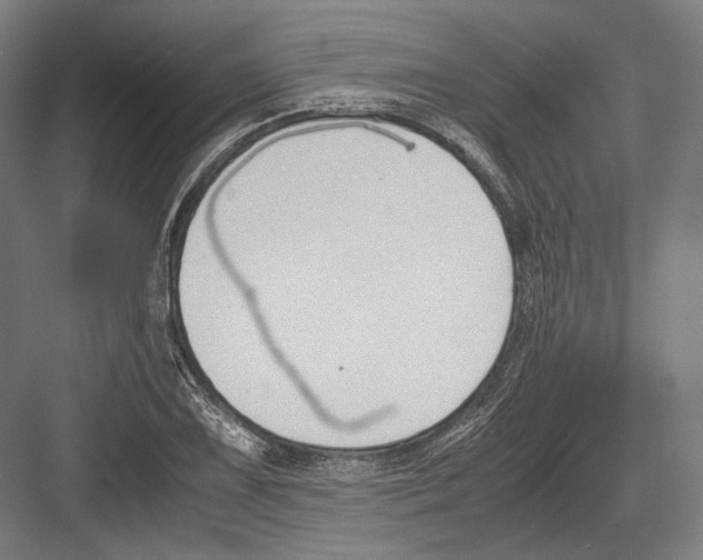 X0000081571075200702121416