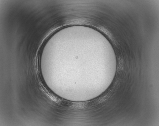 X0000081571078200702121416