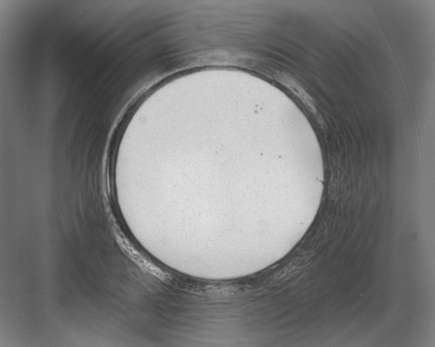 X0000081571080200702121415