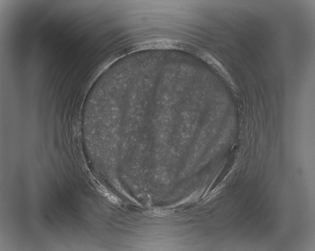 X0000081571081200702121415