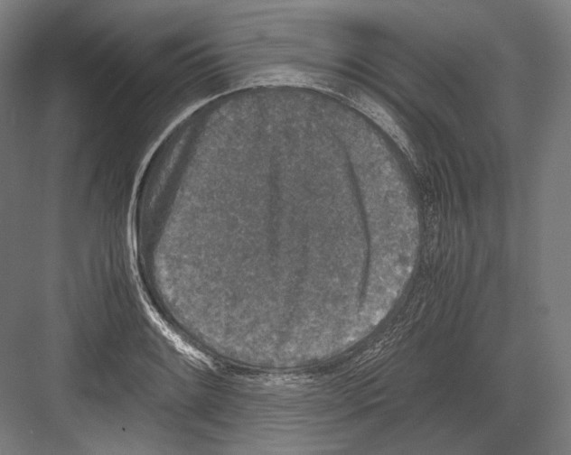 X0000081571084200702121415