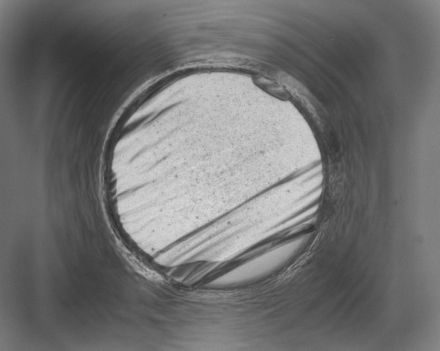 X0000081571085200702121415