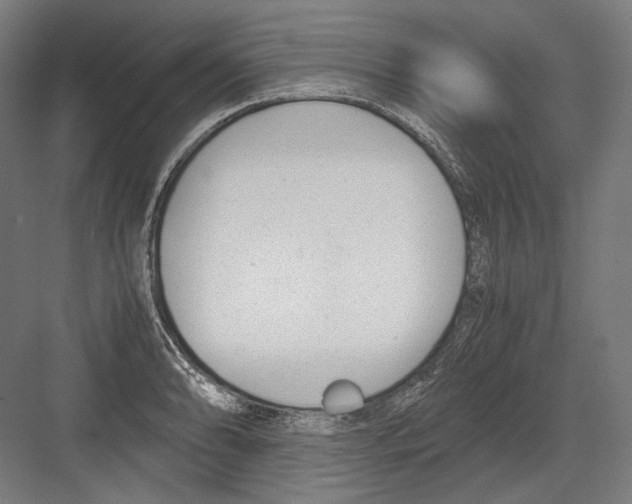 X0000081571086200702121415