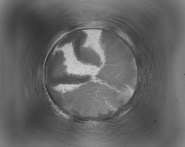 X0000081571087200702121415