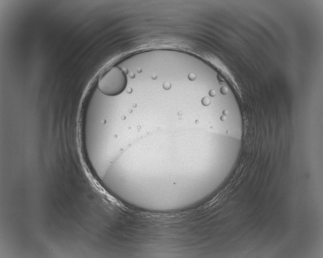 X0000081571088200702121415