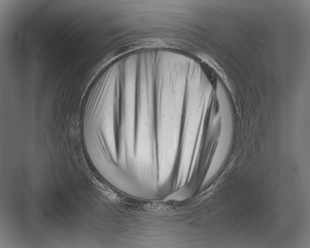 X0000081571089200702121415