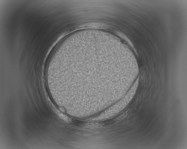 X0000081571091200702121415