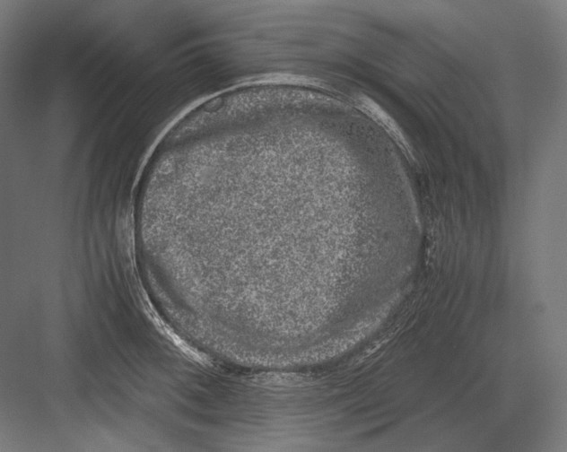 X0000081571092200702121415