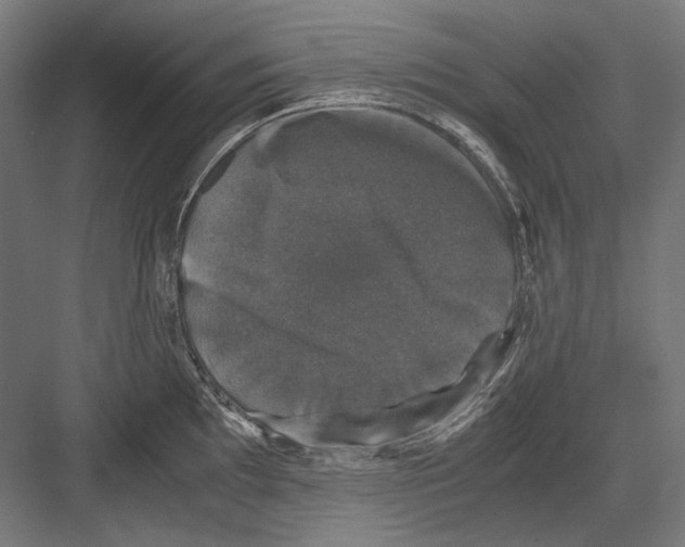 X0000081571097200702121415