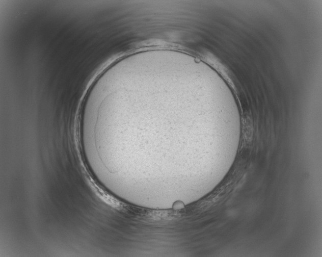 X0000081571098200702121415