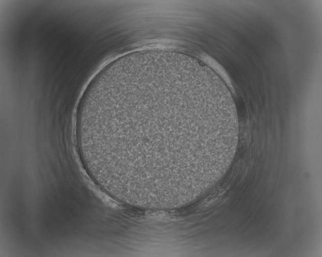 X0000081571099200702121415