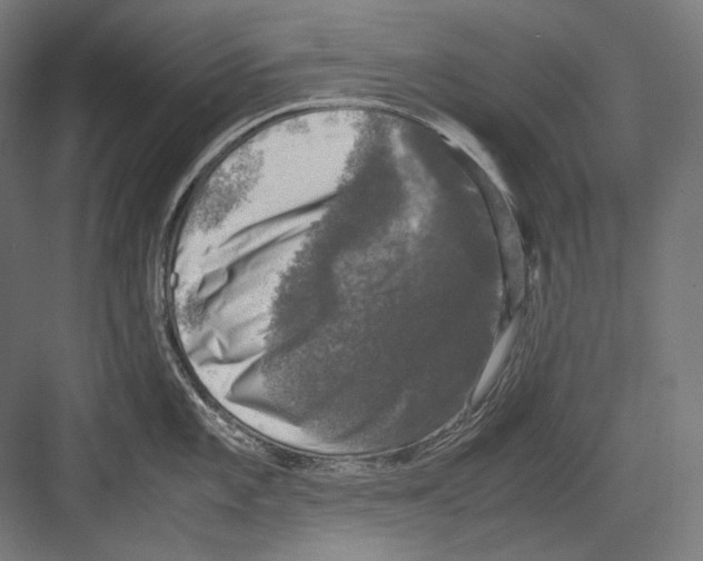 X0000081571101200702121415