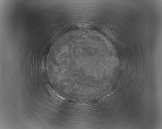 X0000081571106200702121414