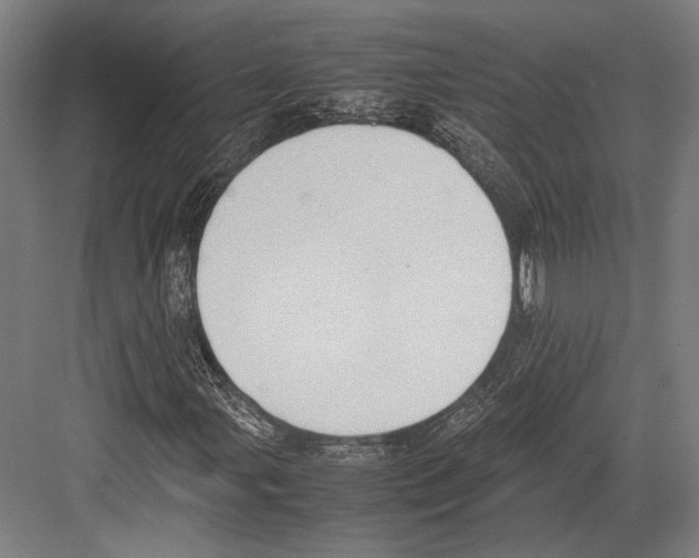 X0000081571107200702121414