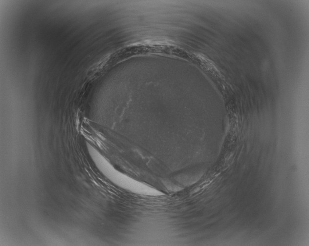 X0000081571110200702121414