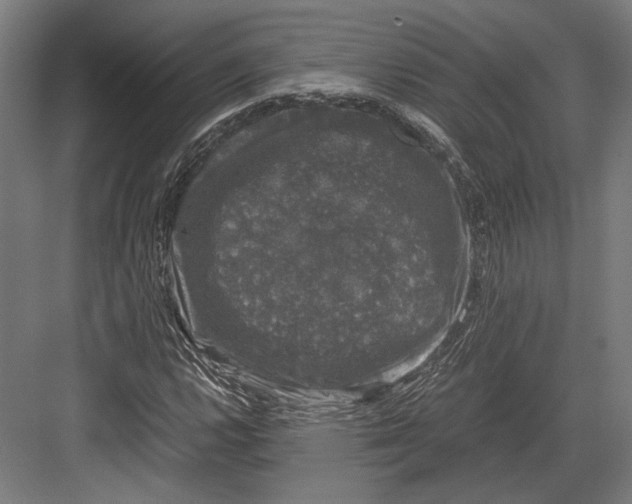 X0000081571112200702121414