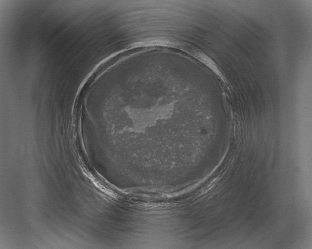 X0000081571116200702121414