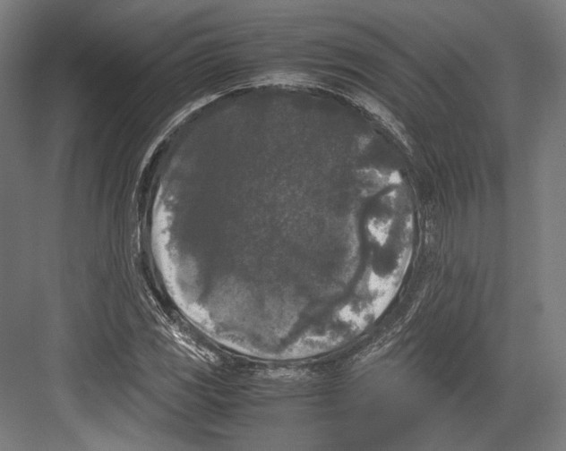 X0000081571117200702121414