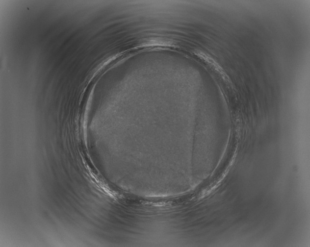 X0000081571121200702121415