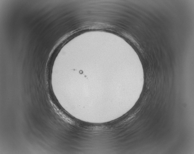 X0000081571122200702121415