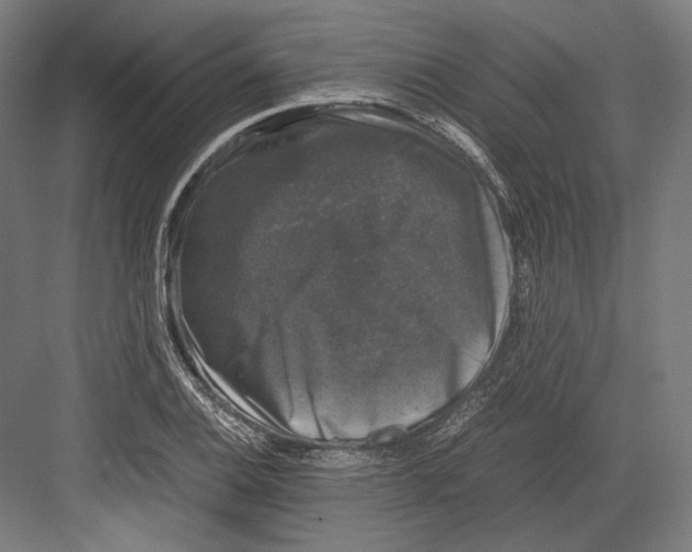 X0000081571124200702121415