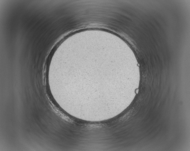 X0000081571126200702121415