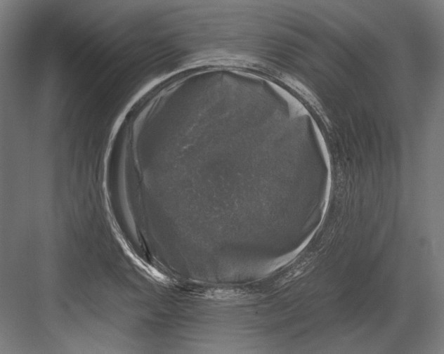 X0000081571128200702121415