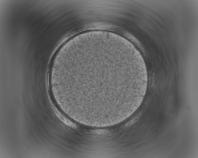 X0000081571130200702121415