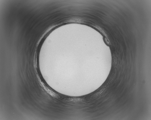 X0000081571131200702121415