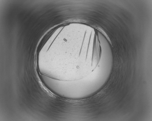 X0000081571132200702121415