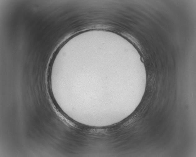 X0000081571135200702121415