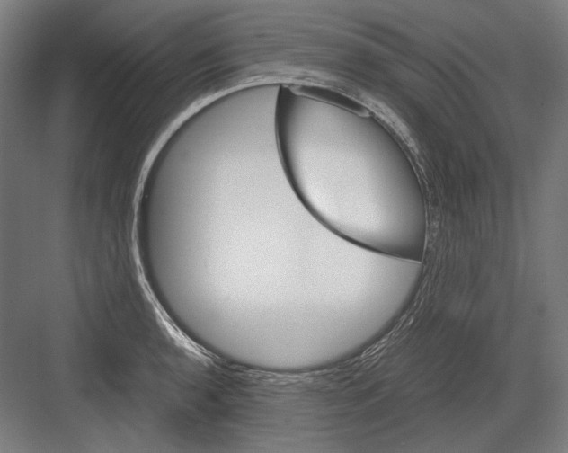 X0000081571136200702121415