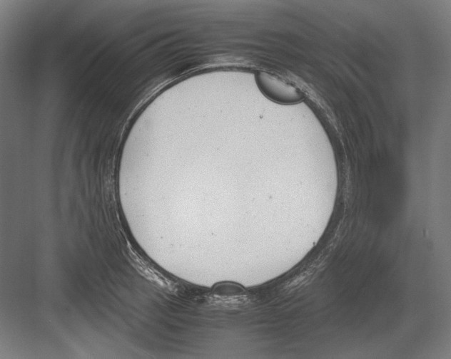 X0000081571137200702121415