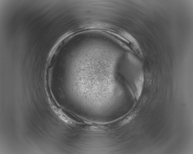 X0000081571138200702121415