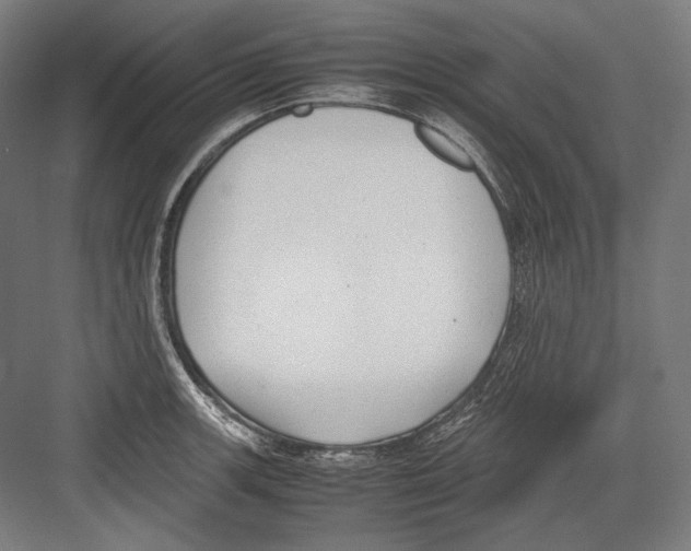 X0000081571139200702121415