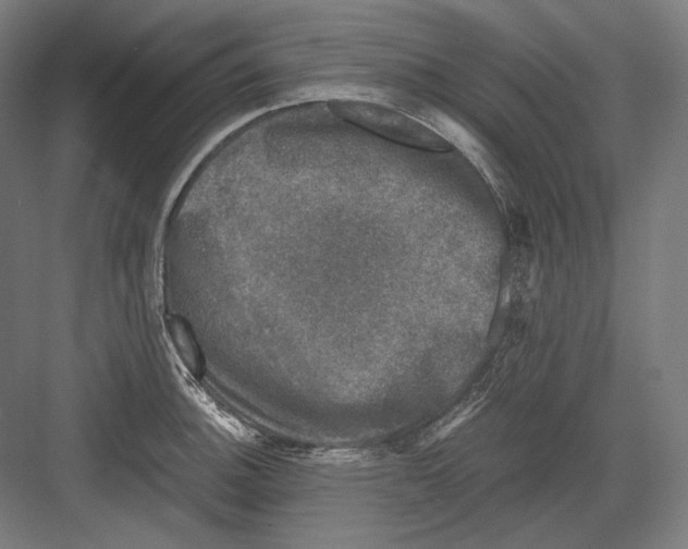 X0000081571140200702121415