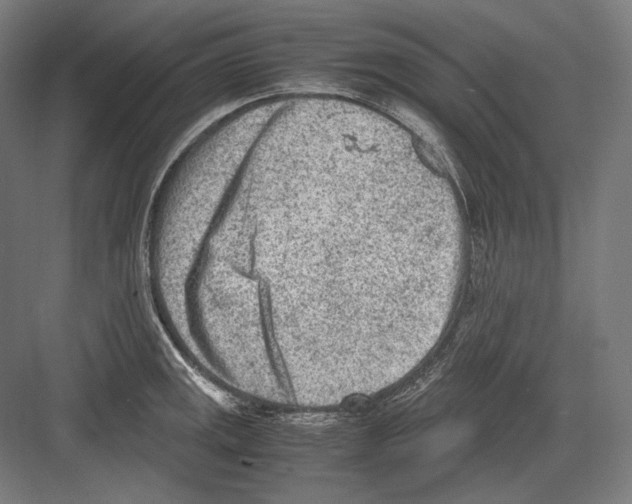 X0000081571141200702121415